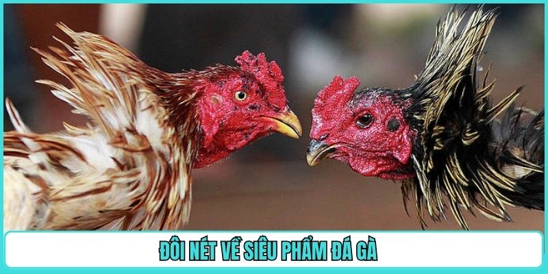 da-ga-vz99-doi-net