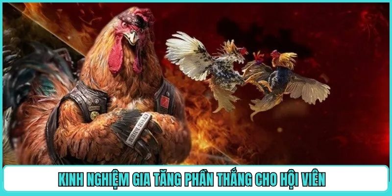 kinh-nghiem-gia-tang-phan-thang-cho-hoi-vien