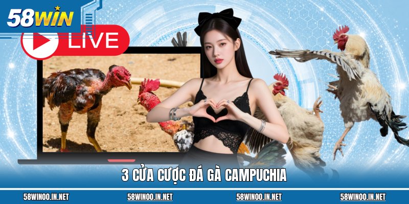 3 cửa cược đá gà Campuchia