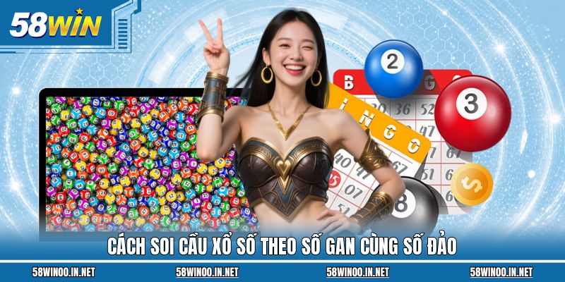 Cách soi cầu xổ số theo số gan cùng số đảo