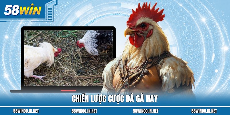 Chiến lược cược đá gà hay