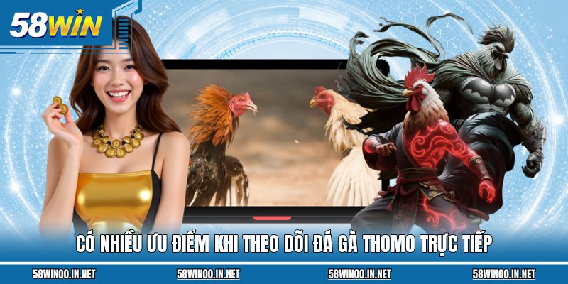 Có nhiều ưu điểm khi theo dõi đá gà Thomo trực tiếp