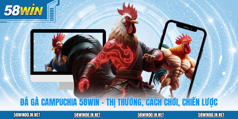 Đá Gà Campuchia 58WIN - Thị Trường, Cách Chơi, Chiến Lược