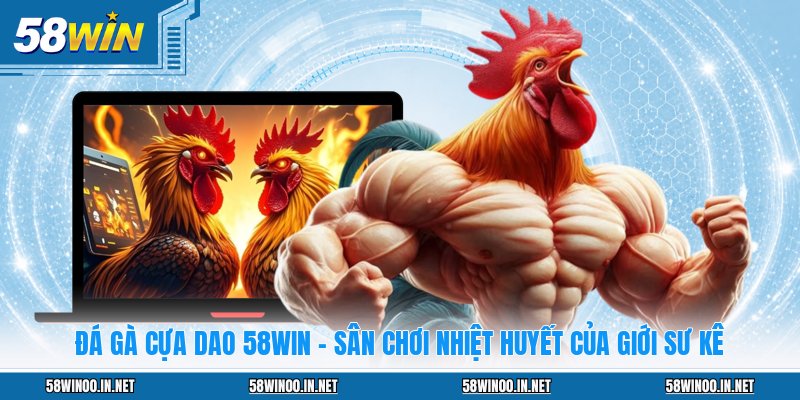 Đá Gà Cựa Dao 58WIN - Sân Chơi Nhiệt Huyết Của Giới Sư Kê