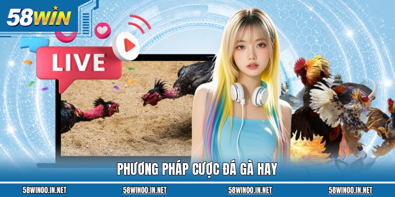 Phương pháp cược đá gà hay