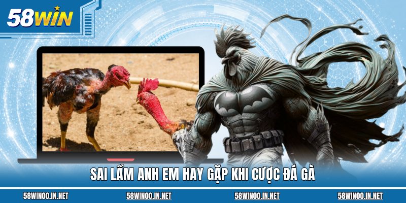 Sai lầm anh em hay gặp khi cược đá gà