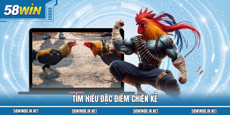 Tìm hiểu đặc điểm chiến kê