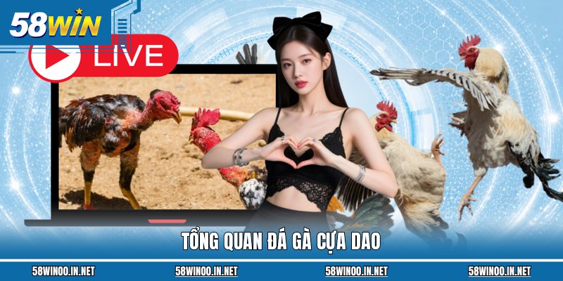 Tổng quan đá gà cựa dao